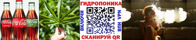 Cannafood конопля Струнино