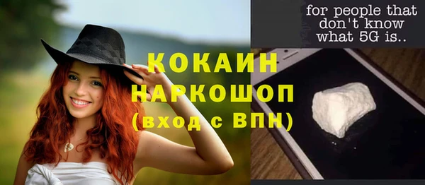 шишки Нязепетровск