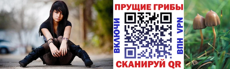 OMG вход  Струнино  Галлюциногенные грибы мицелий  закладка 